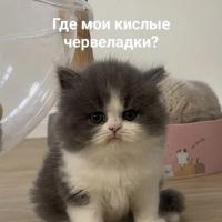 Дарья