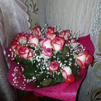 Cветлана