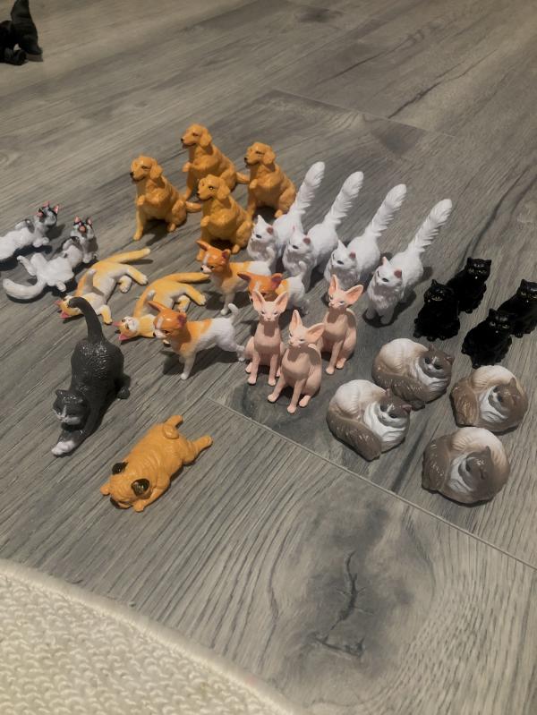 post image 4
