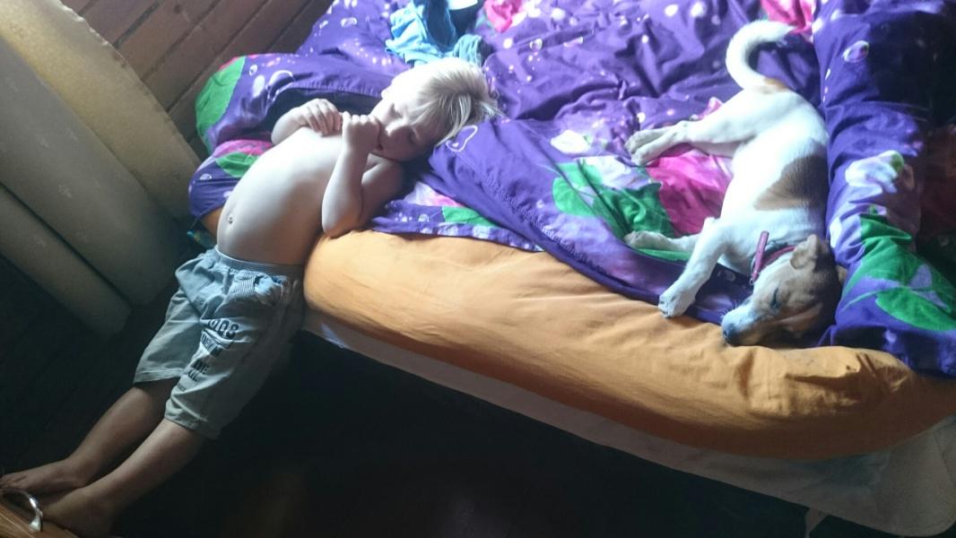 post image 2