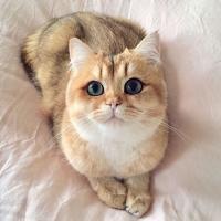 Elena
