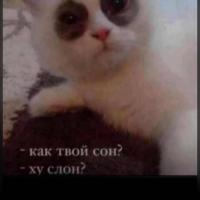 Женское Такси