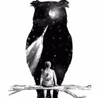 ..✨