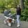 victoriya_u