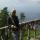 anna1985anna1985anna