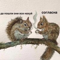 kazeikina.n