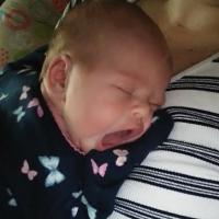 Kail