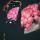 fatima_18