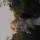 yuliana_valerievna