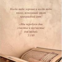 Mr_alieva