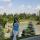 dasha2737