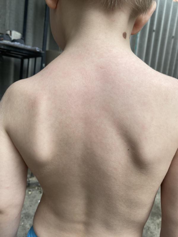 post image 3