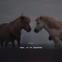 мальвина