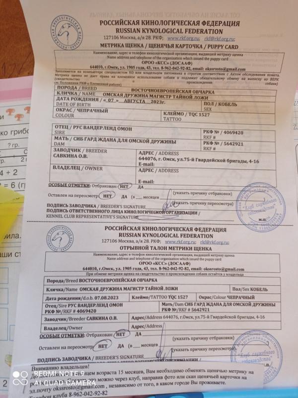 post image 4