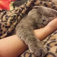Оксана