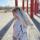 marina_roz
