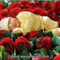 Алымбекова Гулнара