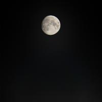 luna_