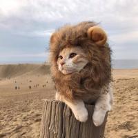 Гасанов Гасан