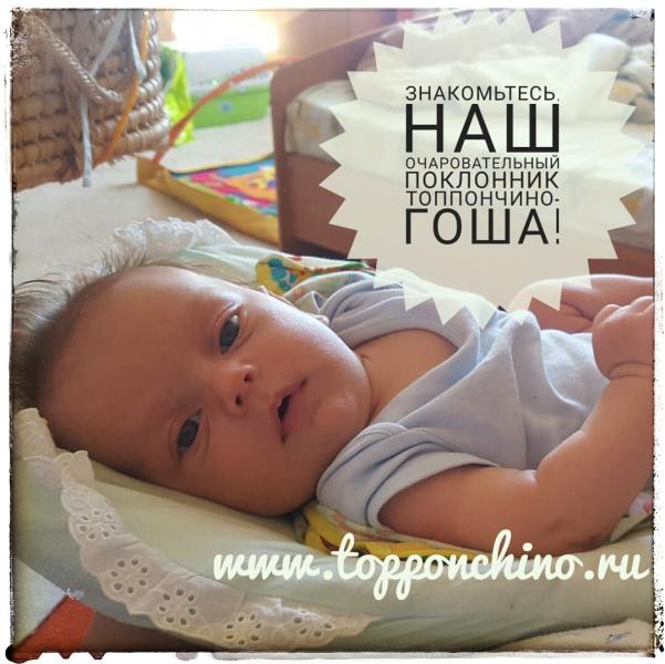 post image