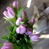 Анна
