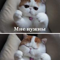 Наталья