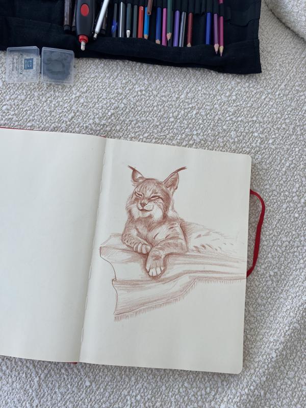 post image 4