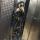 milana_1