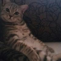  Olena 