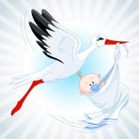 Лилия Лилия 