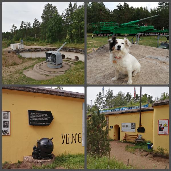 post image 5