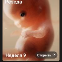 Резеда
