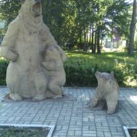 света