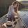 july_mammy