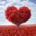 assem_ruslan