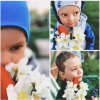 Елена🌸