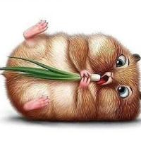Юлия