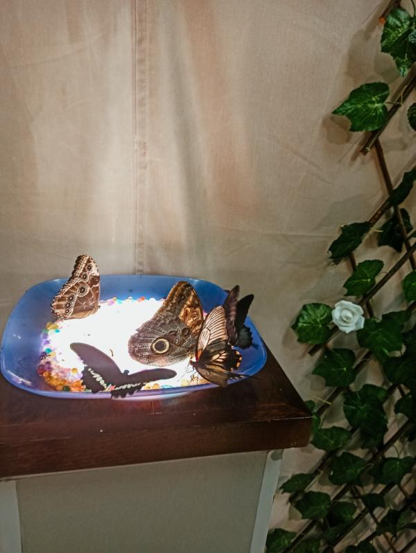 post image 5
