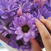 Ирина 🌸