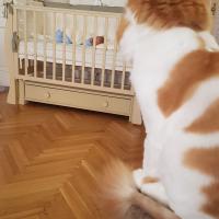 Надежда Федорова