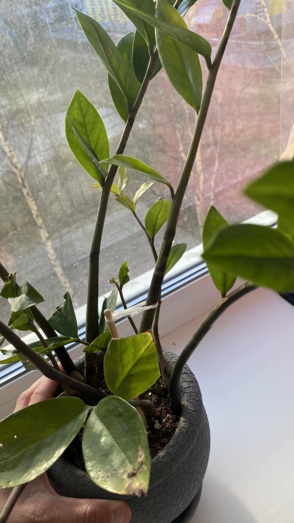 post image 5