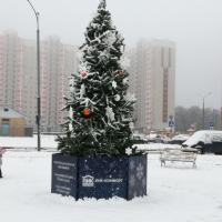 Татьяна Евгеньевна