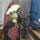 Alya