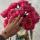 askforlovemeee