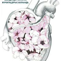 Жадыра