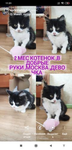 post image