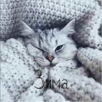 Анюта Игнатенко