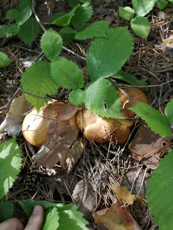 post image 4