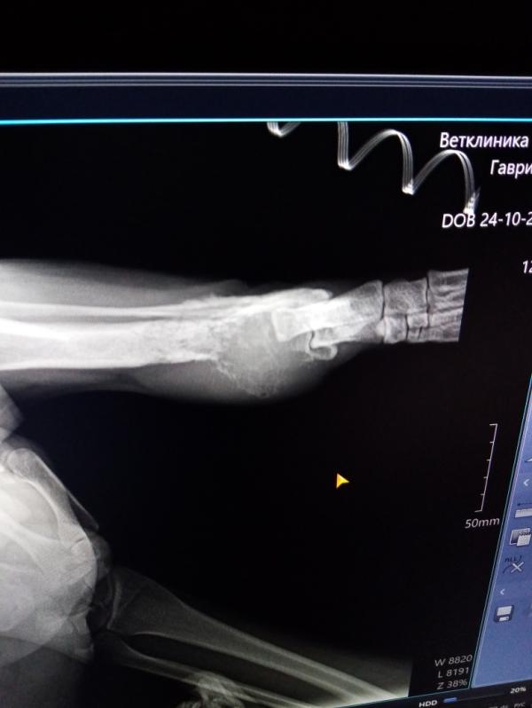 post image 1