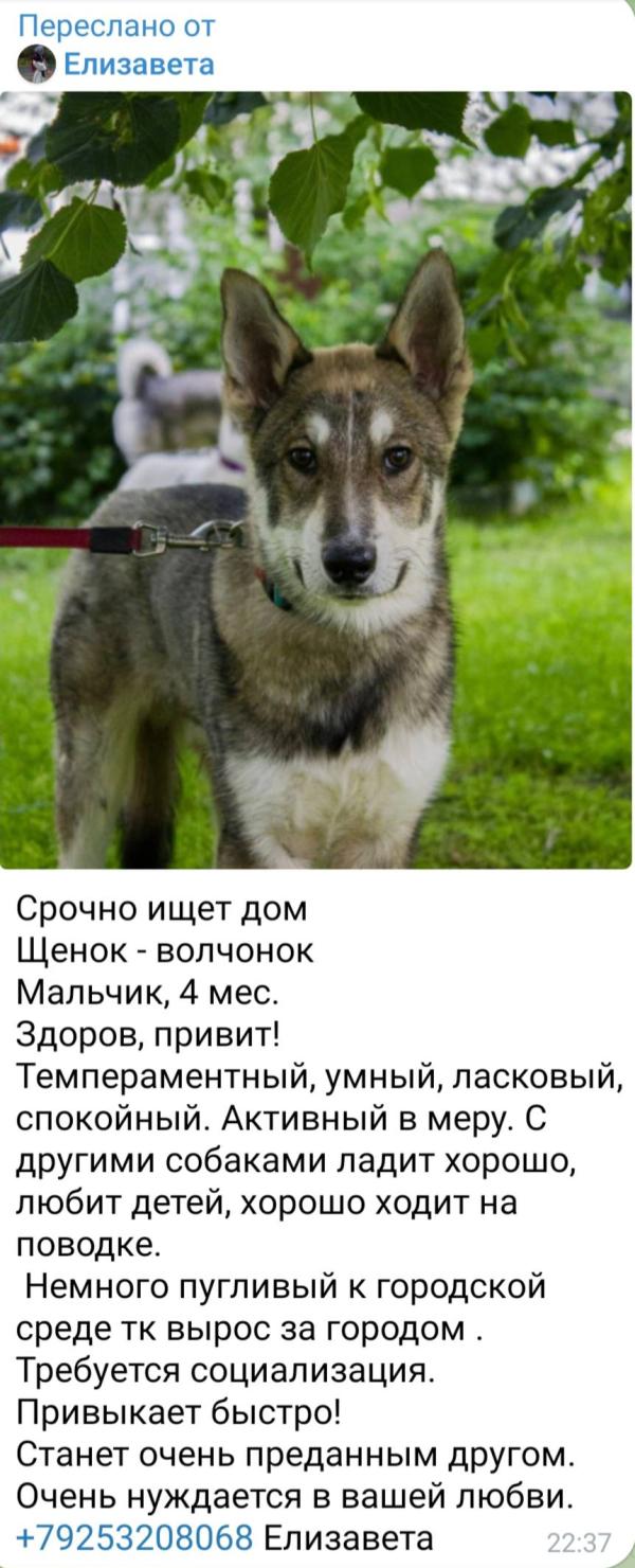 post image 1
